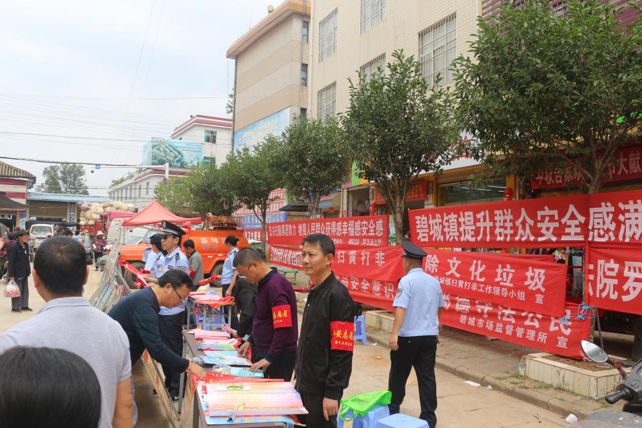 禄丰县碧城镇开展综治维稳宣传活动