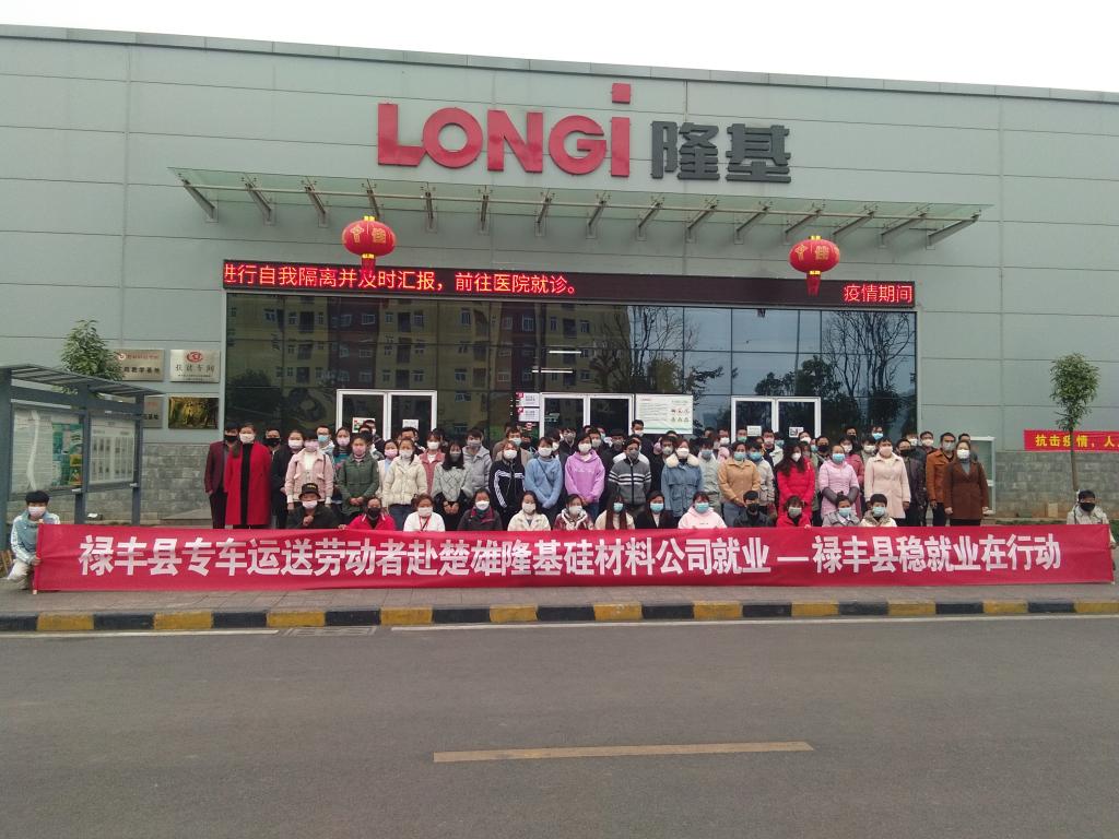 禄丰招聘信息_6月13日招聘 禄丰县 各地新招聘(5)