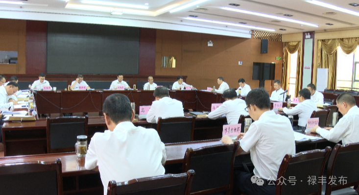 中共禄丰市委常委 禄丰市人民政府党组领导班子召开以曲靖市统计造假为鉴以案促改促治专题民主生活会
