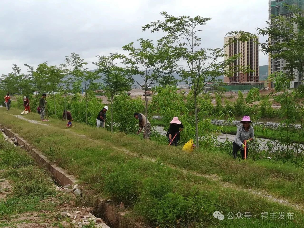 禄丰市：“四个突出”抓实绿美河湖建设