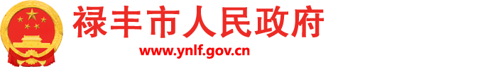 禄丰市人民政府