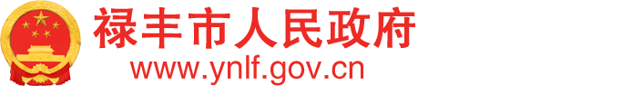 禄丰县人民政府