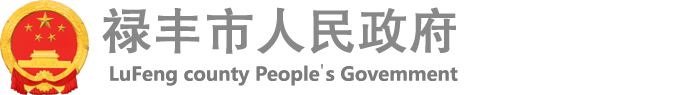 禄丰市人民政府