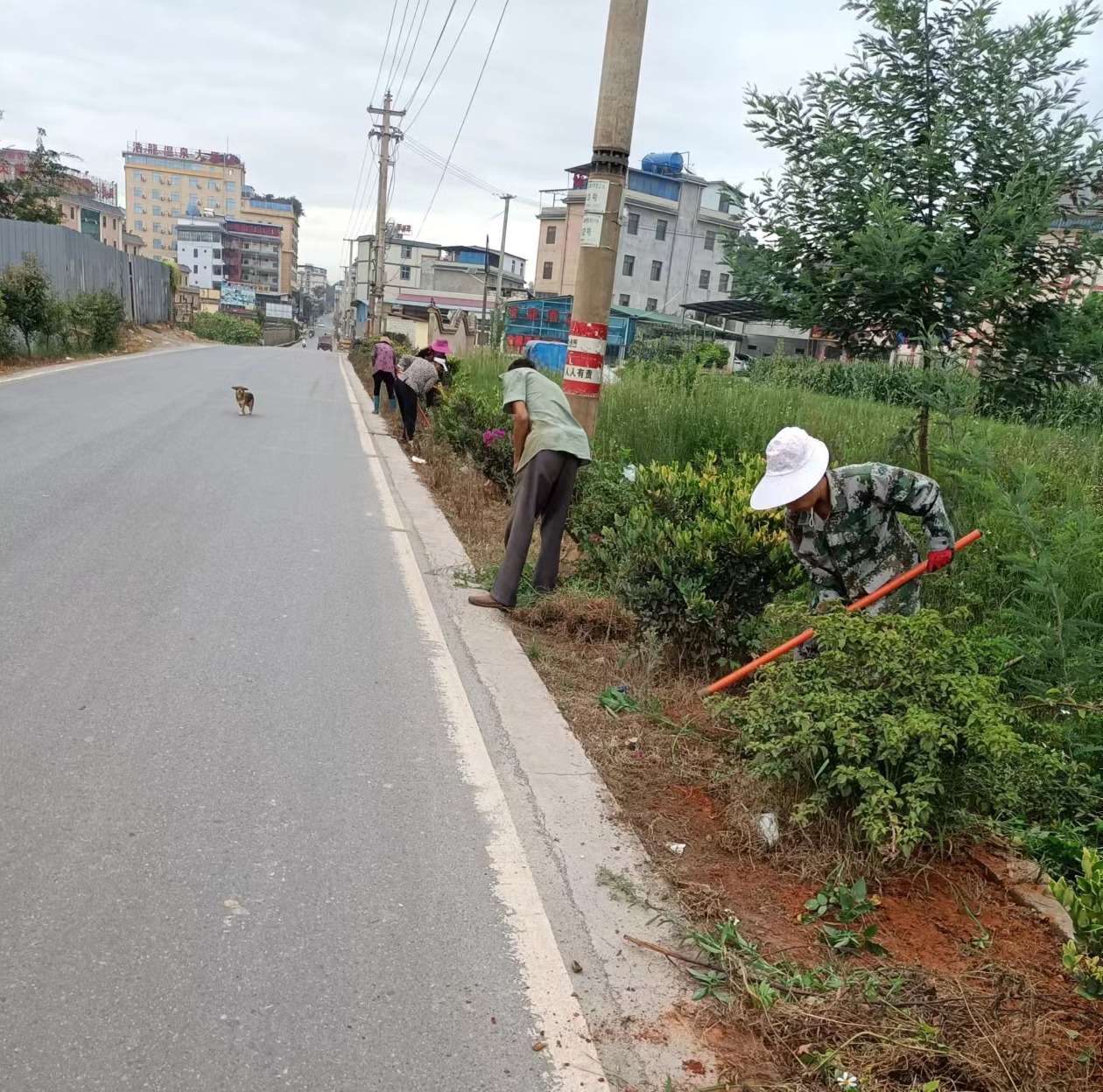 乡间道路除草.jpg