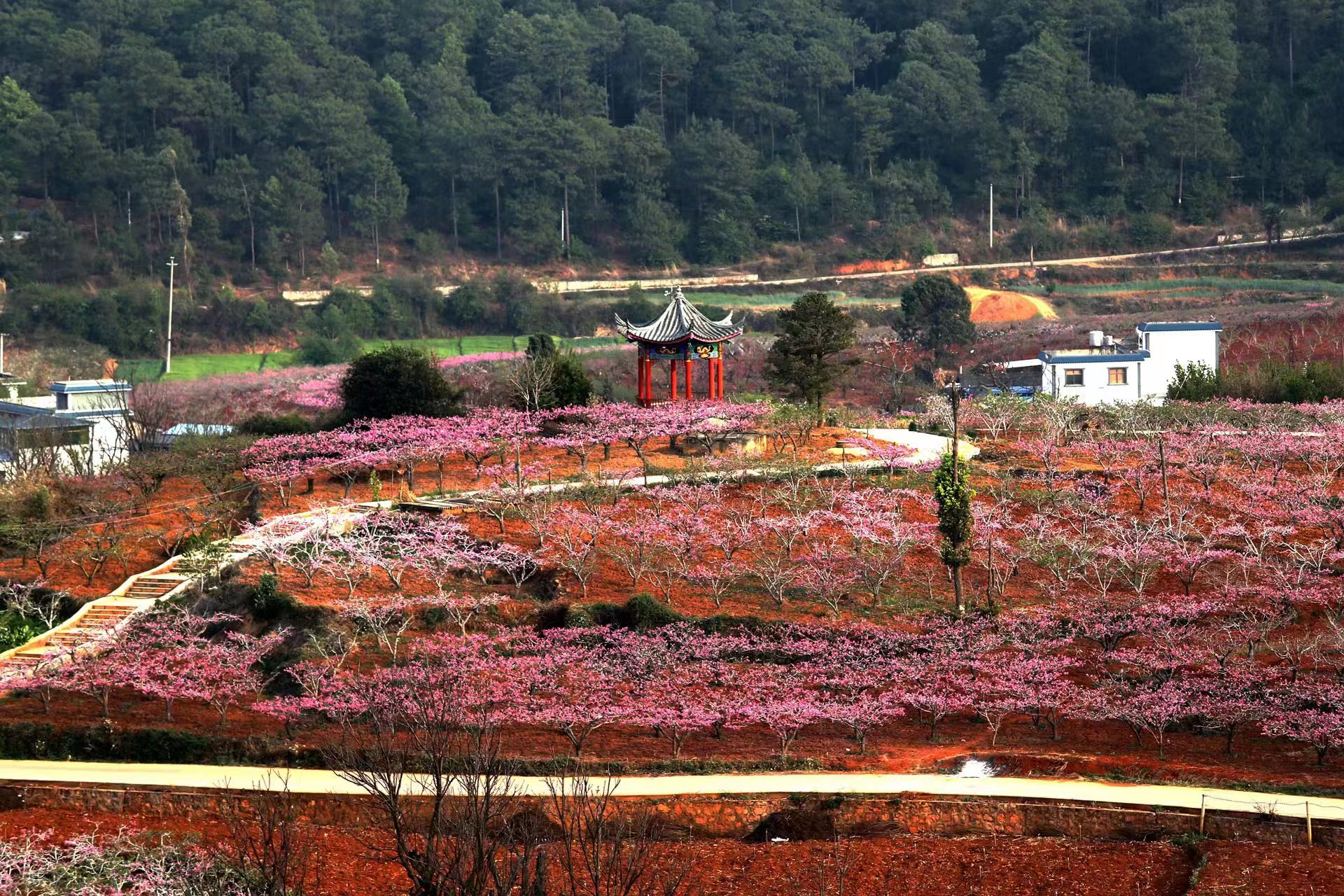 禄丰旅游景点大全图片