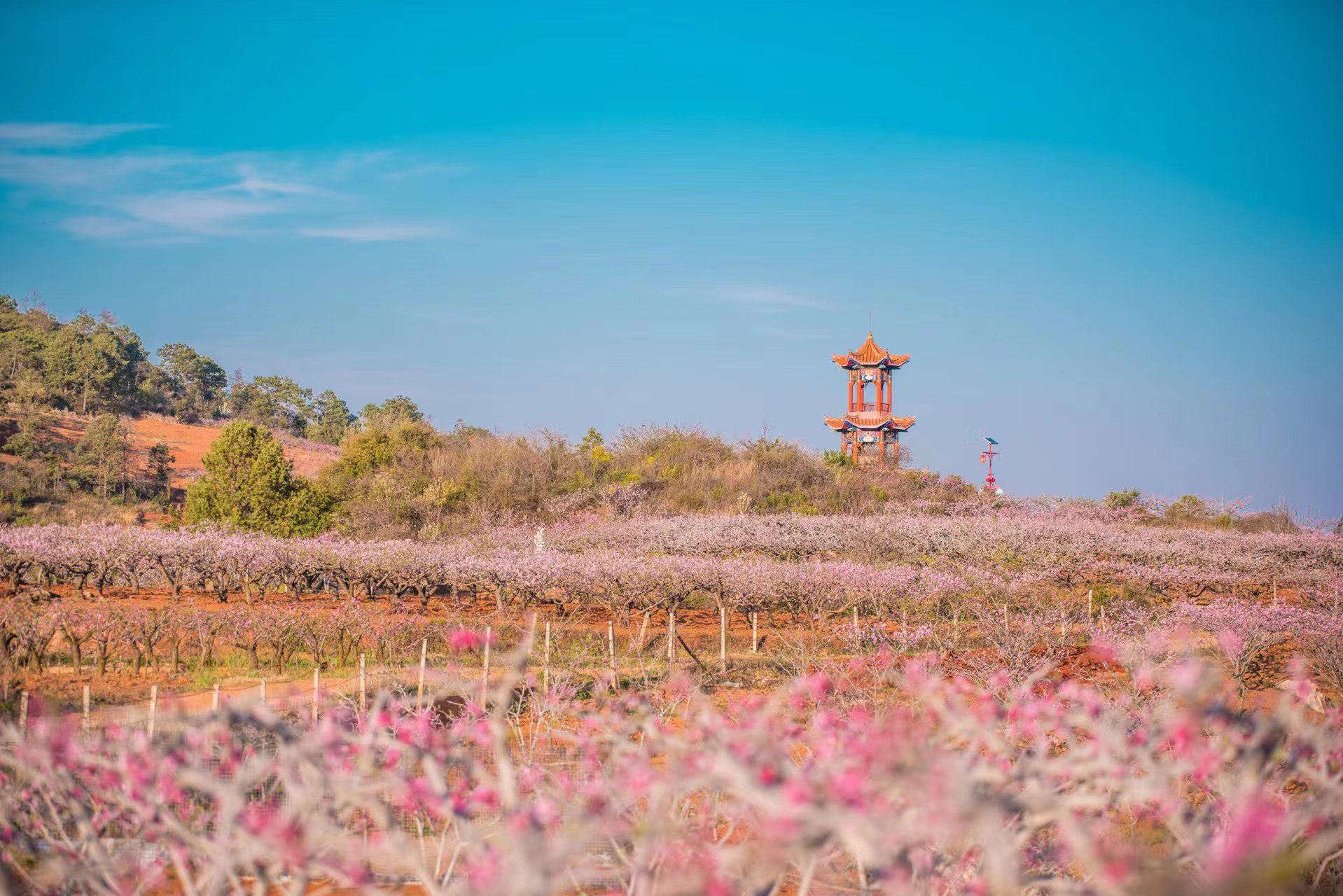 禄丰旅游景点大全图片